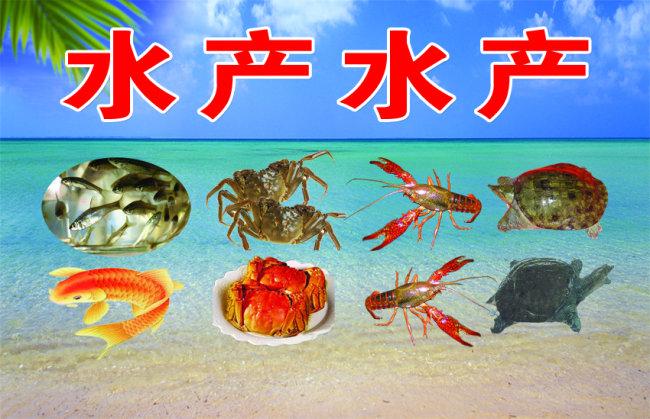 水产店 广告牌 鱼 螃蟹图 大虾图 乌龟图片 水产品 水产广告牌子