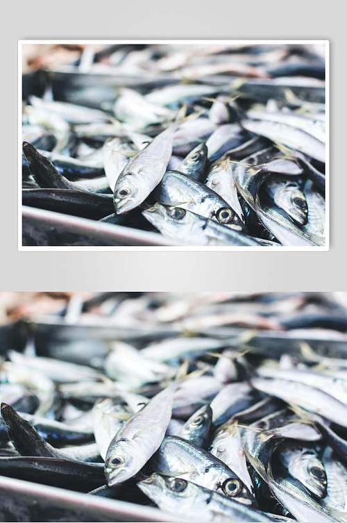 海鲜水产品高清摄影图