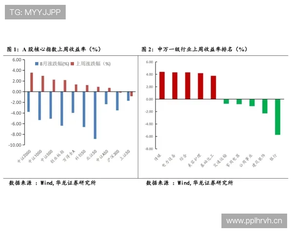 佩德里是否会高开低走：新星成长轨迹与持续性分析